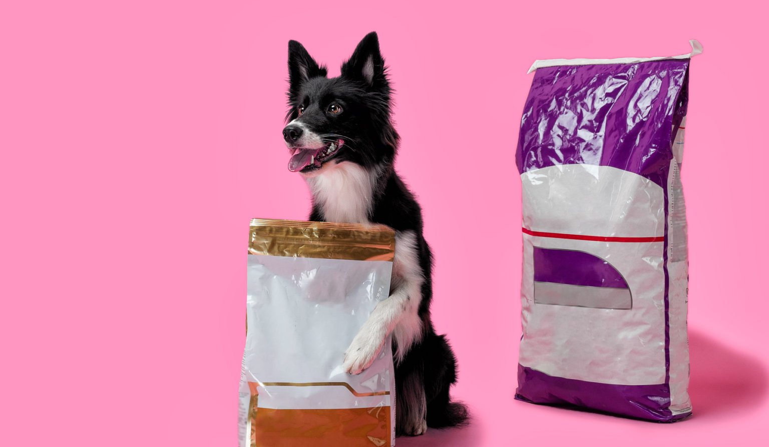 Pet Food Fulfilment Logistics for Accessories & Goodies 3PLUK